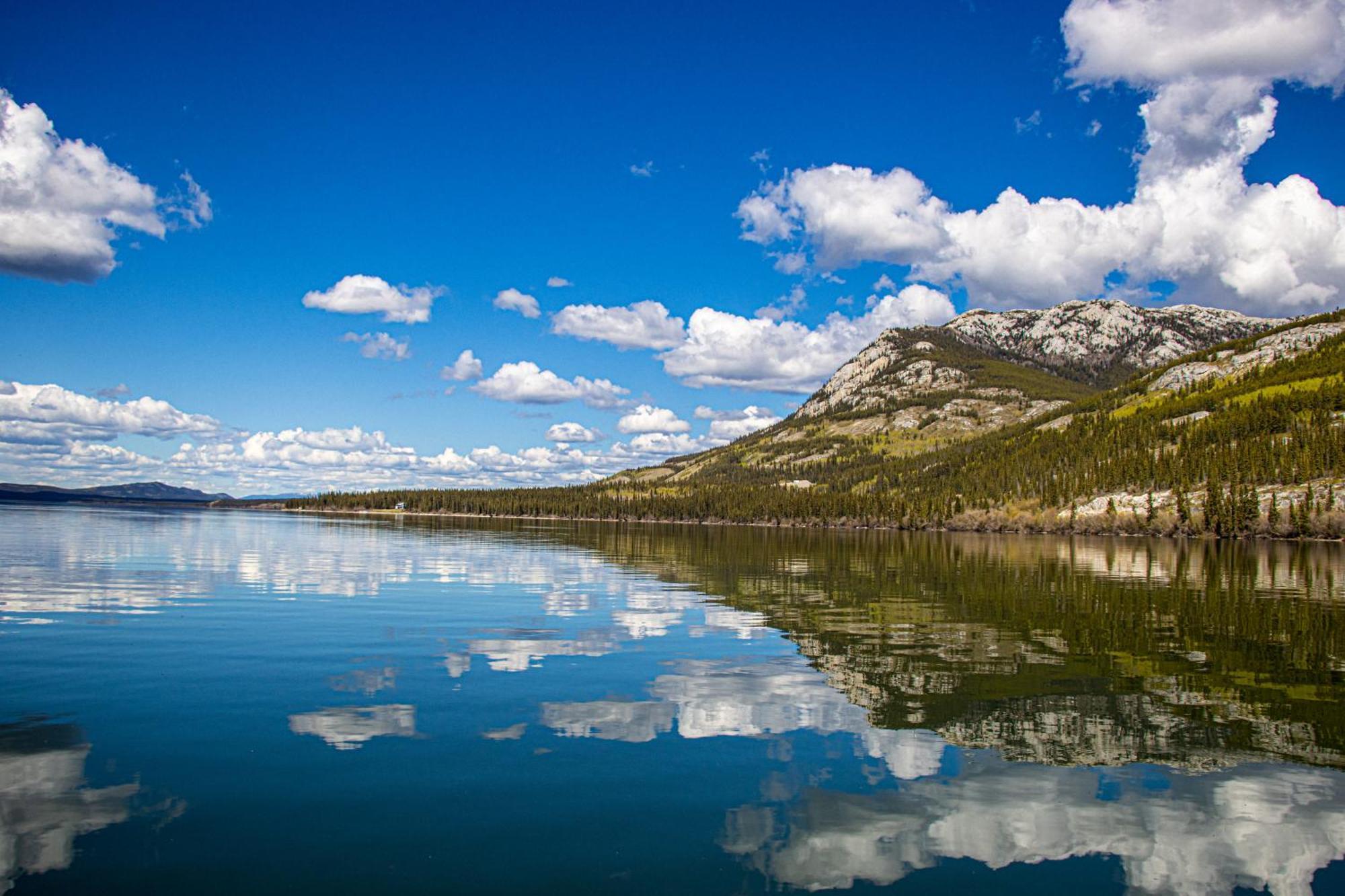 Little Atlin Lodge Tagish Zewnętrze zdjęcie