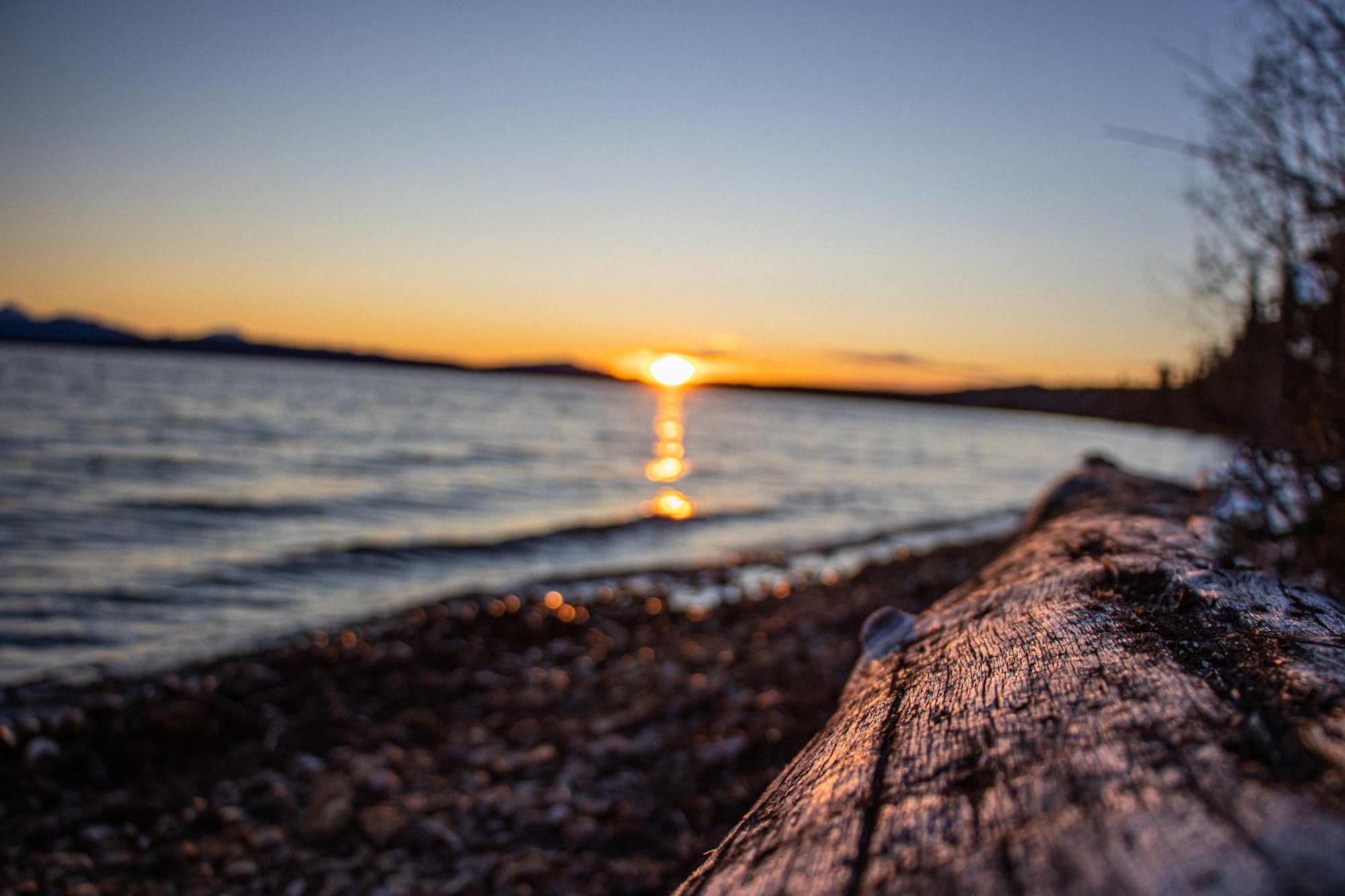 Little Atlin Lodge Tagish Zewnętrze zdjęcie
