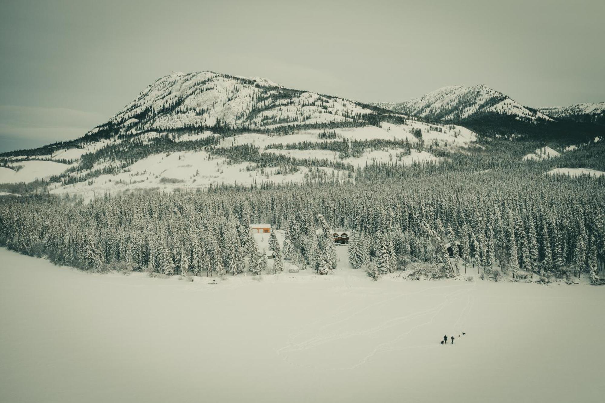 Little Atlin Lodge Tagish Zewnętrze zdjęcie